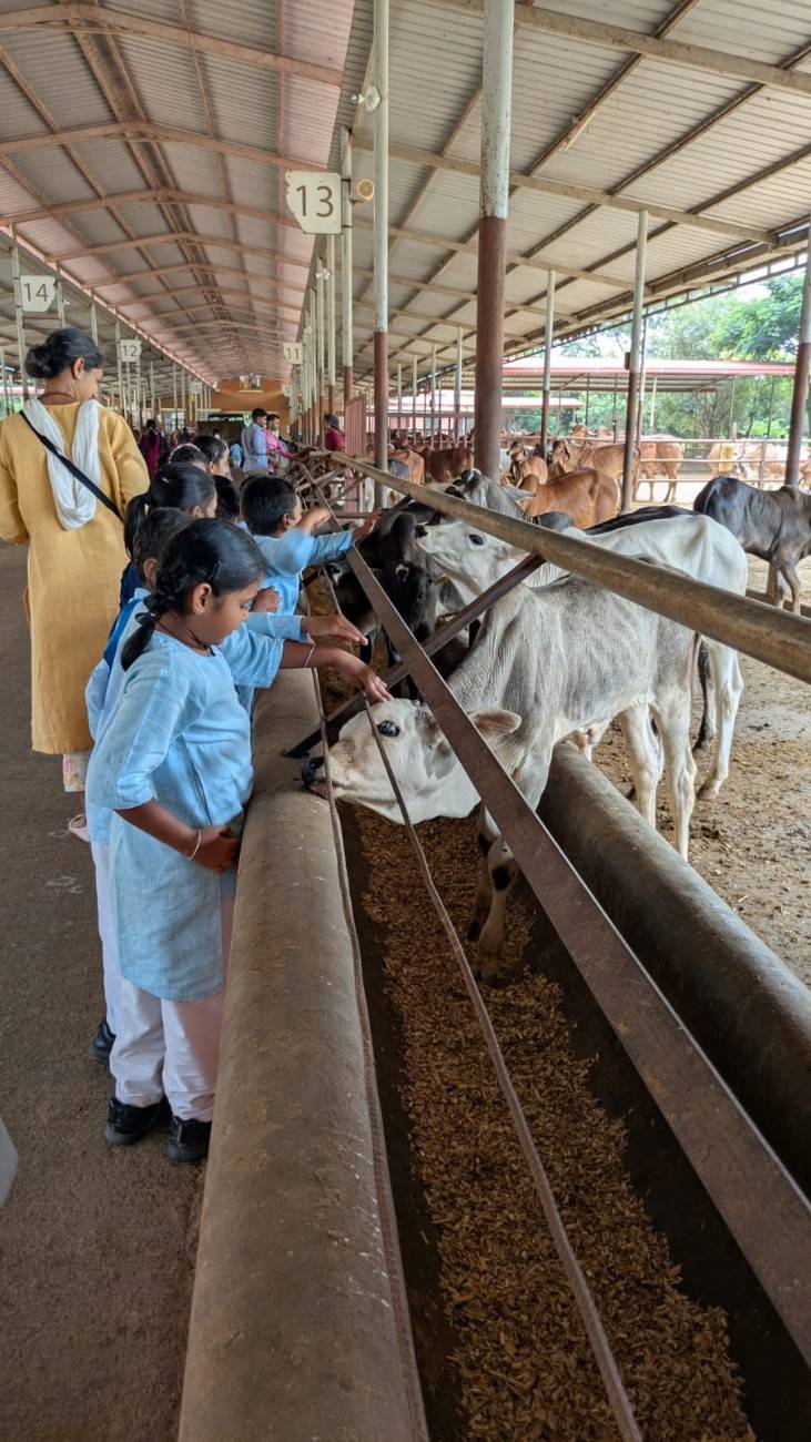 RVK - Somanahalli Students Visited Art of Living (10)