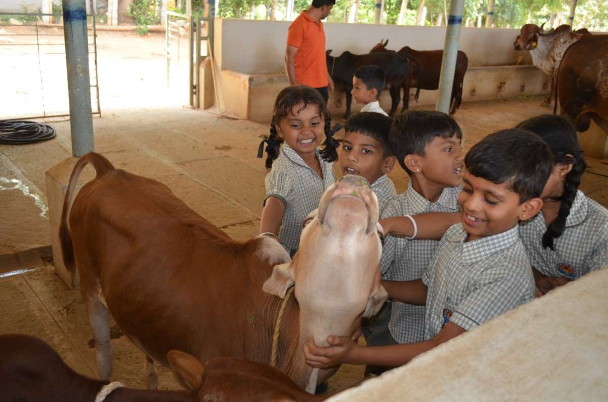 RVK – Somanahalli Students’ First Educational Trip (2)